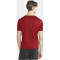CRAFT Extend Trikot Herren 488000 - rhubarb XS