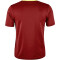 CRAFT Extend Trikot Herren 488000 - rhubarb XS