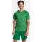 CRAFT Premier Solid Trikot Herren 651000 - team green XXS