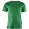 CRAFT Premier Solid Trikot Herren 651000 - team green S