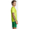 CRAFT Premier Fade Trikot Herren 851000 - flumino XXS