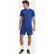 CRAFT Premier Shorts Herren 346000 - club cobolt XXS