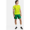 CRAFT Premier Shorts Herren 651000 - team green XXS