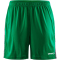 CRAFT Premier Shorts Herren 651000 - team green XS