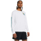 UNDER ARMOUR Launch langarm Laufshirt Herren