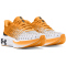 UNDER ARMOUR Infinite Elite We Run Laufschuhe Damen 800 - nova orange/white/black 37.5