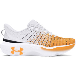 UNDER ARMOUR Infinite Elite We Run Laufschuhe Herren 100...
