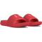 UNDER ARMOUR Ignite Select Slides Damen 600 - red solstice/red solstice/pink 36.5
