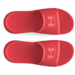 UNDER ARMOUR Ignite Select Slides Damen 600 - red solstice/red solstice/pink 43