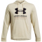 UNDER ARMOUR Rival Terry Hoodie Herren 273 - silt/black XL