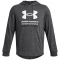 UNDER ARMOUR Rival Terry Hoodie Herren 025 - castlerock/black M