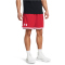 UNDER ARMOUR Zone Basketball Shorts Herren 600 - red/white S