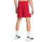UNDER ARMOUR Zone Basketball Shorts Herren 600 - red/white/white S