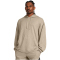 UNDER ARMOUR Rival Waffle Hoodie Herren 203 - timberwolf taupe/white M