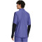 UNDER ARMOUR Challenger Pro 1/4-Zip Trainingsshirt Herren 561 - starlight/celeste S