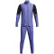 UNDER ARMOUR Challenger Trainingsanzug Herren 561 - starlight/celeste XL