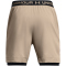 UNDER ARMOUR Vanish Woven 2in1 Trainingsshorts Herren 203 - timberwolf taupe/black/black S