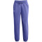 UNDER ARMOUR Essential Fleece Jogginghose Damen 561 - starlight/celeste S