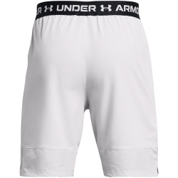 UNDER ARMOUR Vanish Stoffshorts Herren 014 - halo gray/black M