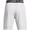 UNDER ARMOUR Vanish Stoffshorts Herren 014 - halo gray/black M