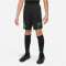 NIKE Academy Player Edition:CR7 Dri-FIT Shorts Kinder