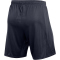 NIKE Academy Pro 24 Dri-FIT Fußballshorts Herren