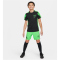 NIKE Academy Player Edition:CR7 Dri-FIT Shorts Kinder 398 - green strike/black/black XS (122-128 cm)