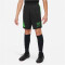 NIKE Academy Player Edition:CR7 Dri-FIT Shorts Kinder 010 - black/green strike/green strike M (137-147 cm)