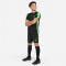 NIKE Academy Player Edition:CR7 Dri-FIT Shorts Kinder 010 - black/green strike/green strike M (137-147 cm)