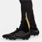 NIKE Strike Dri-FIT Fußball Trainingshose Herren 011 - black/black/jersey gold/metallic gold S