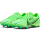 NIKE Zoom Vapor 15 Academy Mercurial Dream Speed FG/MG Fu&szlig;ballschuhe 300 - green strike/black/stadium green 40
