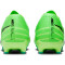 NIKE Zoom Vapor 15 Academy Mercurial Dream Speed FG/MG Fußballschuhe 300 - green strike/black/stadium green 44