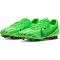 NIKE Zoom Vapor 15 Academy Mercurial Dream Speed AG Kunstrasen-Fu&szlig;ballschuhe 300 - green strike/black/stadium green 40