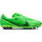 NIKE Zoom Vapor 15 Academy Mercurial Dream Speed AG Kunstrasen-Fußballschuhe 300 - green strike/black/stadium green 42.5