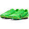 NIKE Zoom Vapor 15 Academy Mercurial Dream Speed AG Kunstrasen-Fußballschuhe 300 - green strike/black/stadium green 44