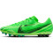 NIKE Zoom Vapor 15 Academy Mercurial Dream Speed AG Kunstrasen-Fußballschuhe 300 - green strike/black/stadium green 44