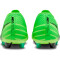 NIKE Zoom Vapor 15 Academy Mercurial Dream Speed AG Kunstrasen-Fußballschuhe 300 - green strike/black/stadium green 47.5