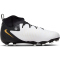 NIKE Jr. Phantom Luna II Academy FG/MG Fußballschuhe Kinder 100 - white/black/mtlc gold coin 36.5