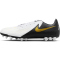 NIKE Phantom GX II Academy AG Kunstrasen-Fu&szlig;ballschuhe 100 - white/black/mtlc gold coin 40