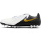 NIKE Phantom GX II Academy AG Kunstrasen-Fußballschuhe 100 - white/black/mtlc gold coin 44