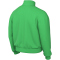 NIKE Academy Pro 24 Dri-FIT Fußball Trainingsjacke Herren 329 - green spark/green spark/white S