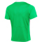 NIKE Academy Pro 24 Dri-FIT kurzarm Fußball Trainingsshirt Herren 329 - green spark/white/green spark/white L