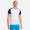 NIKECourt Advantage Dri-FIT Tennisshirt Herren 100 - white/lt photo blue/black/black XL