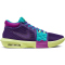 NIKE Lebron Witness VIII Basketballschuhe Herren 500 - field purple/white/dusty cactus 42
