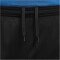 NIKE Dri-FIT Academy Fußballshorts Herren 017 - black/black/metallic gold S