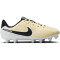 NIKE Jr. Tiempo Legend 10 Academy MG Multi-Ground Fußballschuhe Jungen 700 - lemonade/black/mtlc gold coin 35