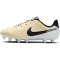 NIKE Jr. Tiempo Legend 10 Academy FG/MG Fußballschuhe Jungen 700 - lemonade/black/mtlc gold coin 36