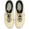 NIKE Jr. Tiempo Legend 10 Academy FG/MG Fußballschuhe Jungen 700 - lemonade/black/mtlc gold coin 36.5