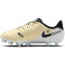 NIKE Jr. Tiempo Legend 10 Academy MG Multi-Ground Fußballschuhe Jungen 700 - lemonade/black/mtlc gold coin 38.5