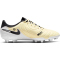 NIKE Tiempo Legend 10 Academy MG Multi-Ground Fu&szlig;ballschuhe 700 - lemonade/black/mtlc gold coin 36